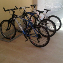 фото из отзыва ID 546665