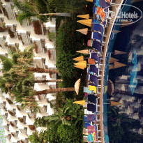 фото из отзыва ID 546877