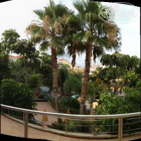 фото из отзыва ID 546877