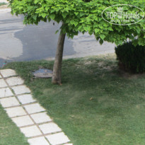 фото из отзыва ID 546701