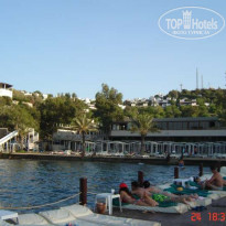 фото из отзыва ID 54701