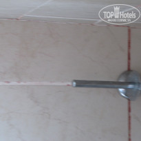 фото из отзыва ID 547058