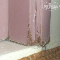 фото из отзыва ID 547058