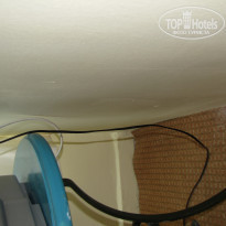 фото из отзыва ID 547058