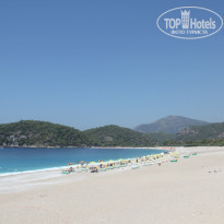 фото из отзыва ID 547180