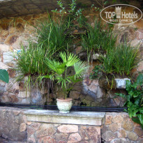 фото из отзыва ID 547443