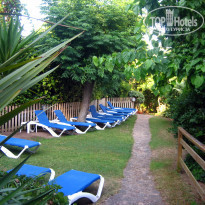 фото из отзыва ID 547443