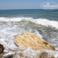 фото из отзыва ID 547514