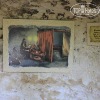 фото из отзыва ID 547514