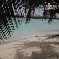 фото из отзыва ID 547866