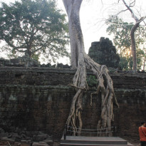 фото из отзыва ID 548496