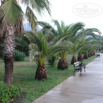 фото из отзыва ID 548560