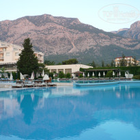 фото из отзыва ID 548560