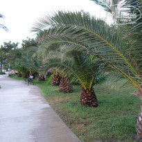 фото из отзыва ID 548560