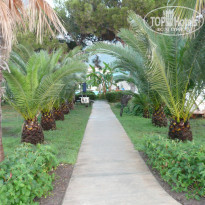 фото из отзыва ID 548560