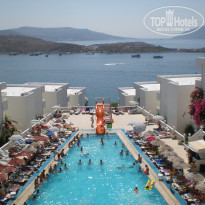 фото из отзыва ID 548675