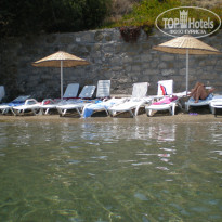 фото из отзыва ID 548675