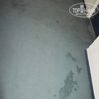 фото из отзыва ID 548973