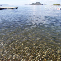 фото из отзыва ID 548691