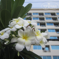 фото из отзыва ID 549125