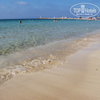 фото из отзыва ID 549138