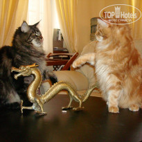 фото из отзыва ID 549258