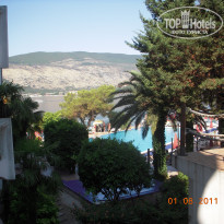 фото из отзыва ID 549360