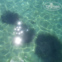 фото из отзыва ID 549527