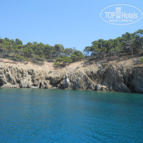 фото из отзыва ID 549527