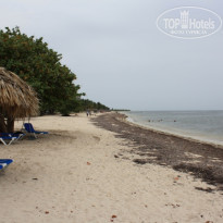 фото из отзыва ID 549654