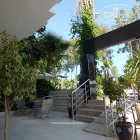 фото из отзыва ID 549666