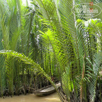 фото из отзыва ID 549874