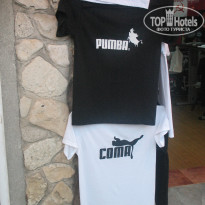 фото из отзыва ID 549945