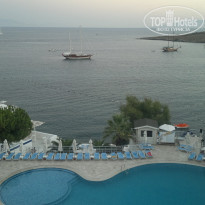 фото из отзыва ID 549444