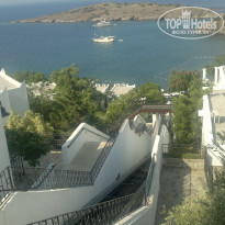 фото из отзыва ID 549444