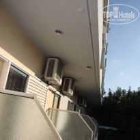 фото из отзыва ID 550243