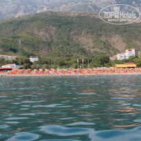 фото из отзыва ID 550382