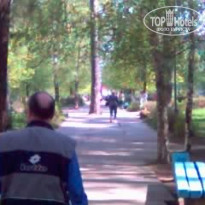 фото из отзыва ID 550756