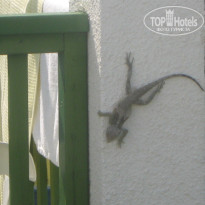 фото из отзыва ID 551064