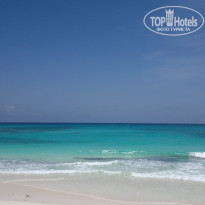 фото из отзыва ID 551101