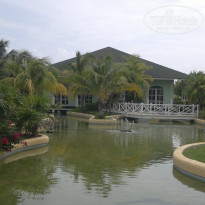 фото из отзыва ID 551101