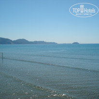 фото из отзыва ID 551162