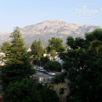 фото из отзыва ID 551247