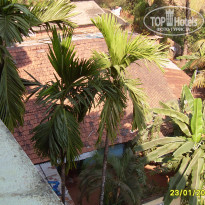 фото из отзыва ID 551250