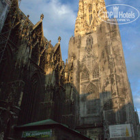 фото из отзыва ID 551488