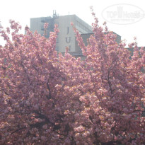 фото из отзыва ID 551592