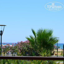 фото из отзыва ID 551771