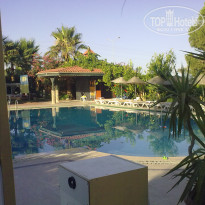 фото из отзыва ID 552033