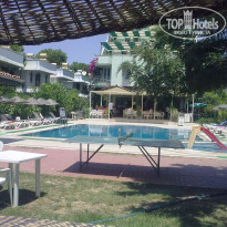 фото из отзыва ID 552033