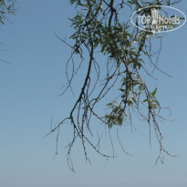 фото из отзыва ID 552160